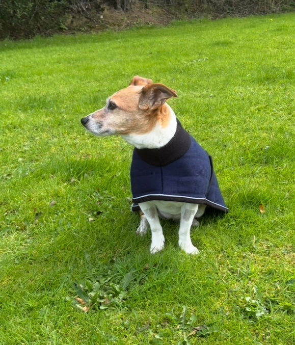 Therma Dry Dog Coat Like Thermatex - Lansdown - Blue - Green - Forest Green - Red Available