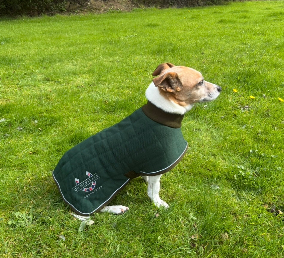 Therma Dry Dog Coat Like Thermatex - Lansdown - Blue - Green - Forest Green - Red Available