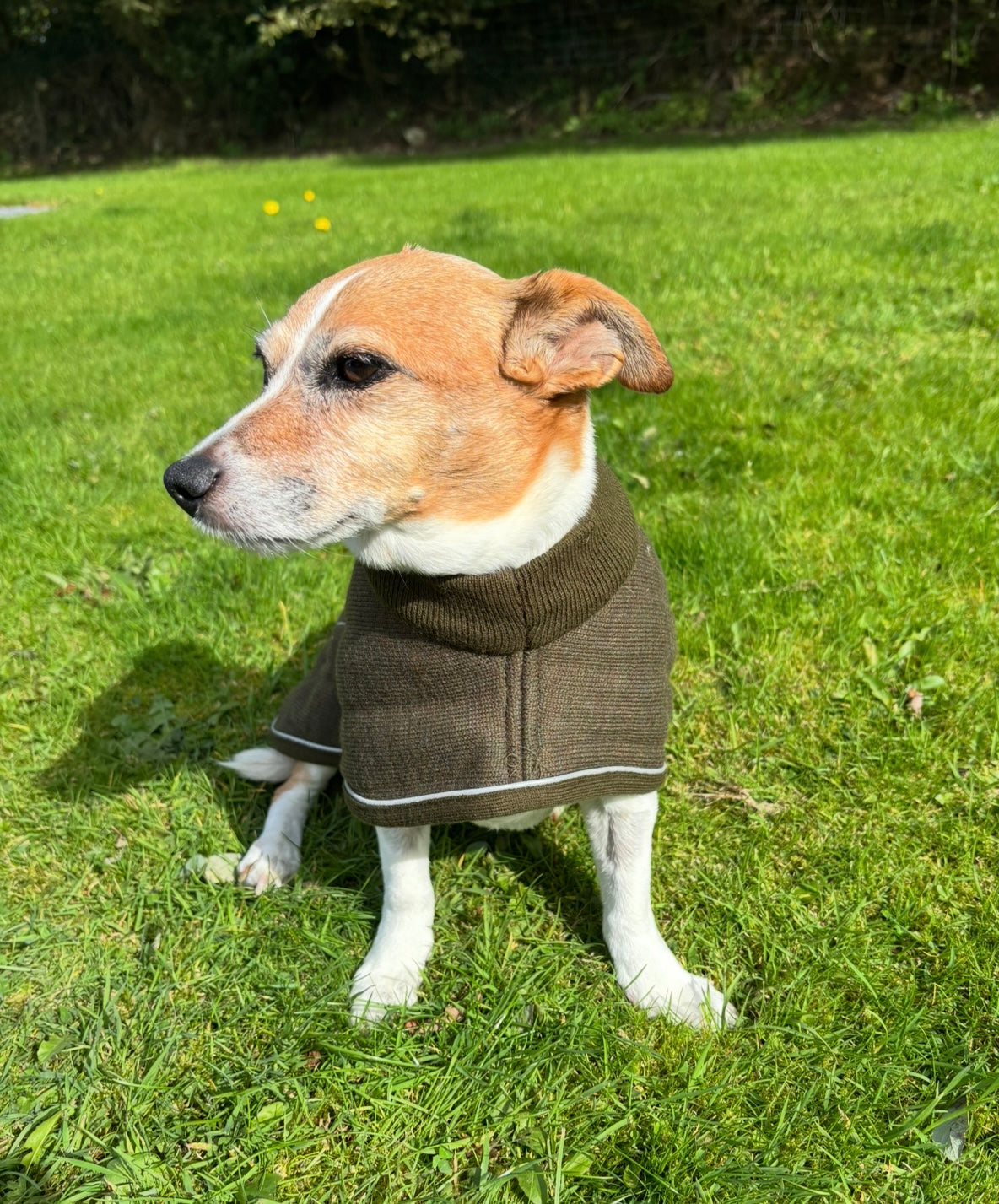 Therma Dry Dog Coat Like Thermatex - Lansdown - Blue - Green - Forest Green - Red Available