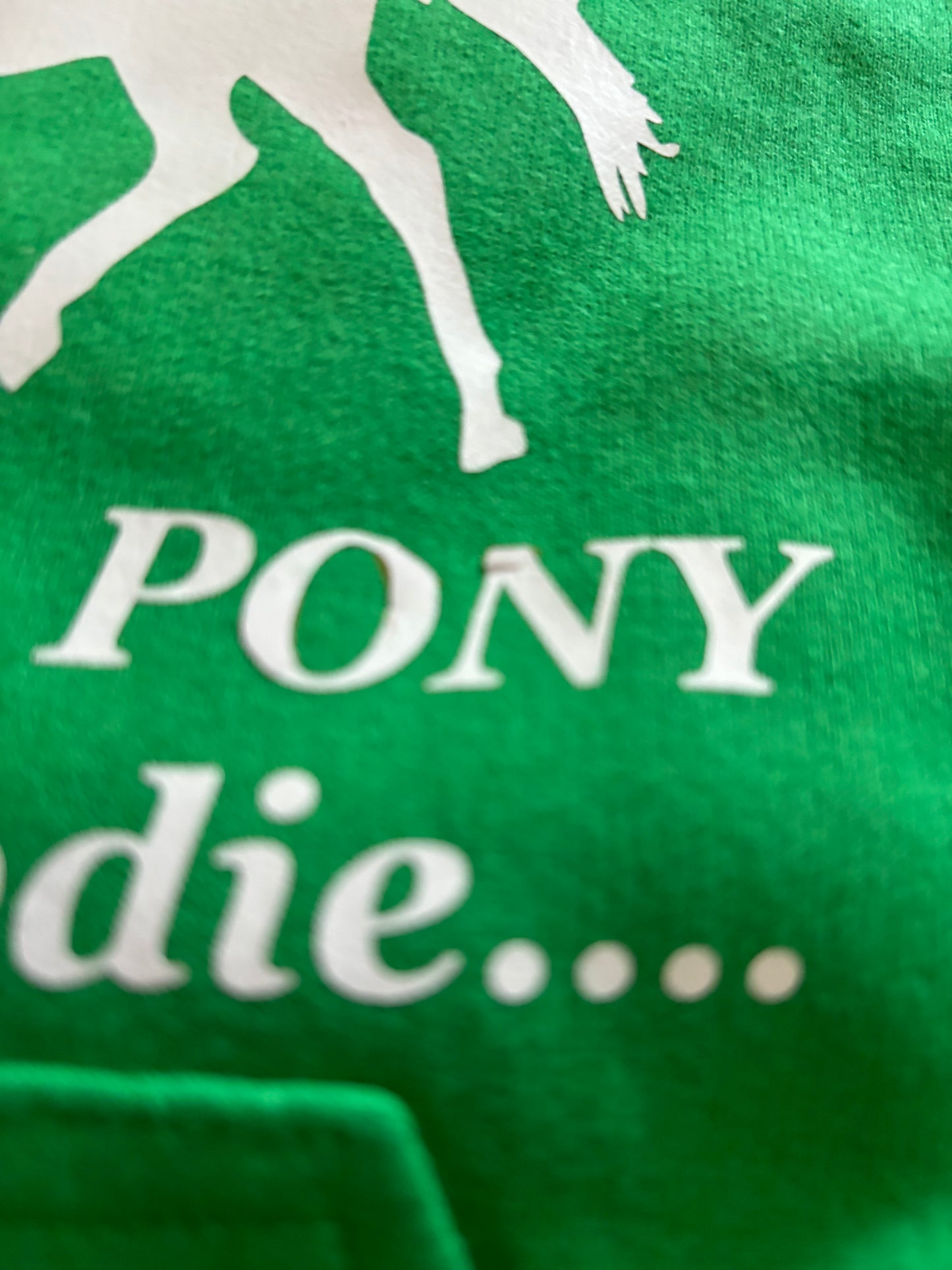 ZPL05 - Gildan Hoodie - Santa I wanted a PONY not a Hoodie Green Small Youth