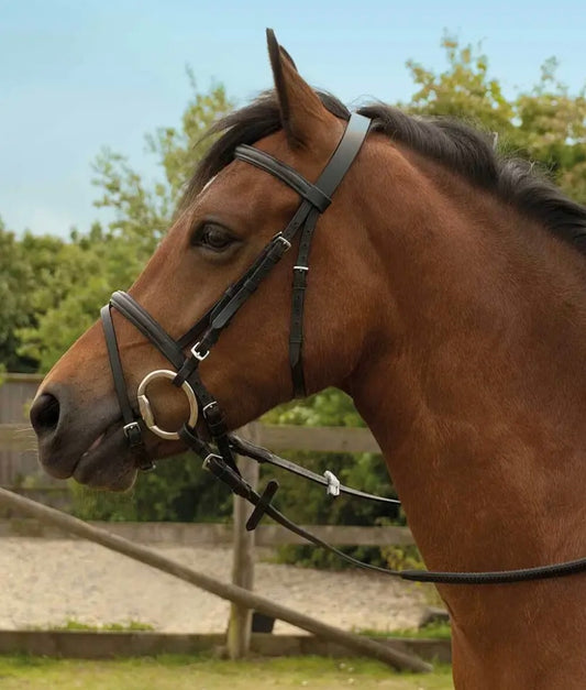 Horse Bridle - Windsor Equestrian Leather Bridle With Flash Noseband - Black