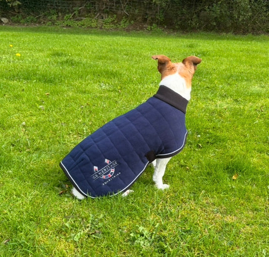 Therma Dry Dog Coat Like Thermatex - Lansdown - Blue - Green - Forest Green - Red Available