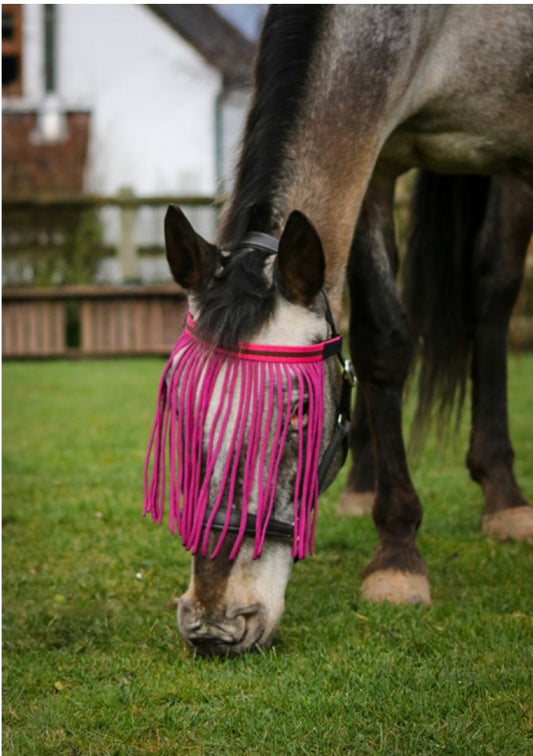 Horse Fly Fringe