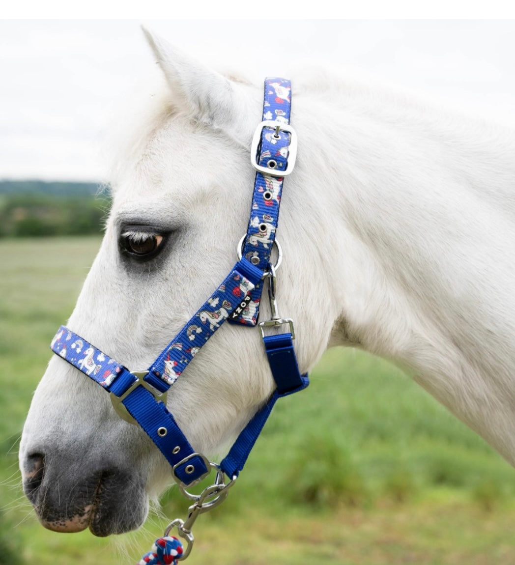 Headcollar and Lead Rope - Unicorn