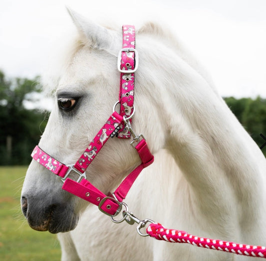 Headcollar and Lead Rope - Unicorn