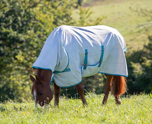 V700 Bridleway Summer Sheet Combo rug 6'3"