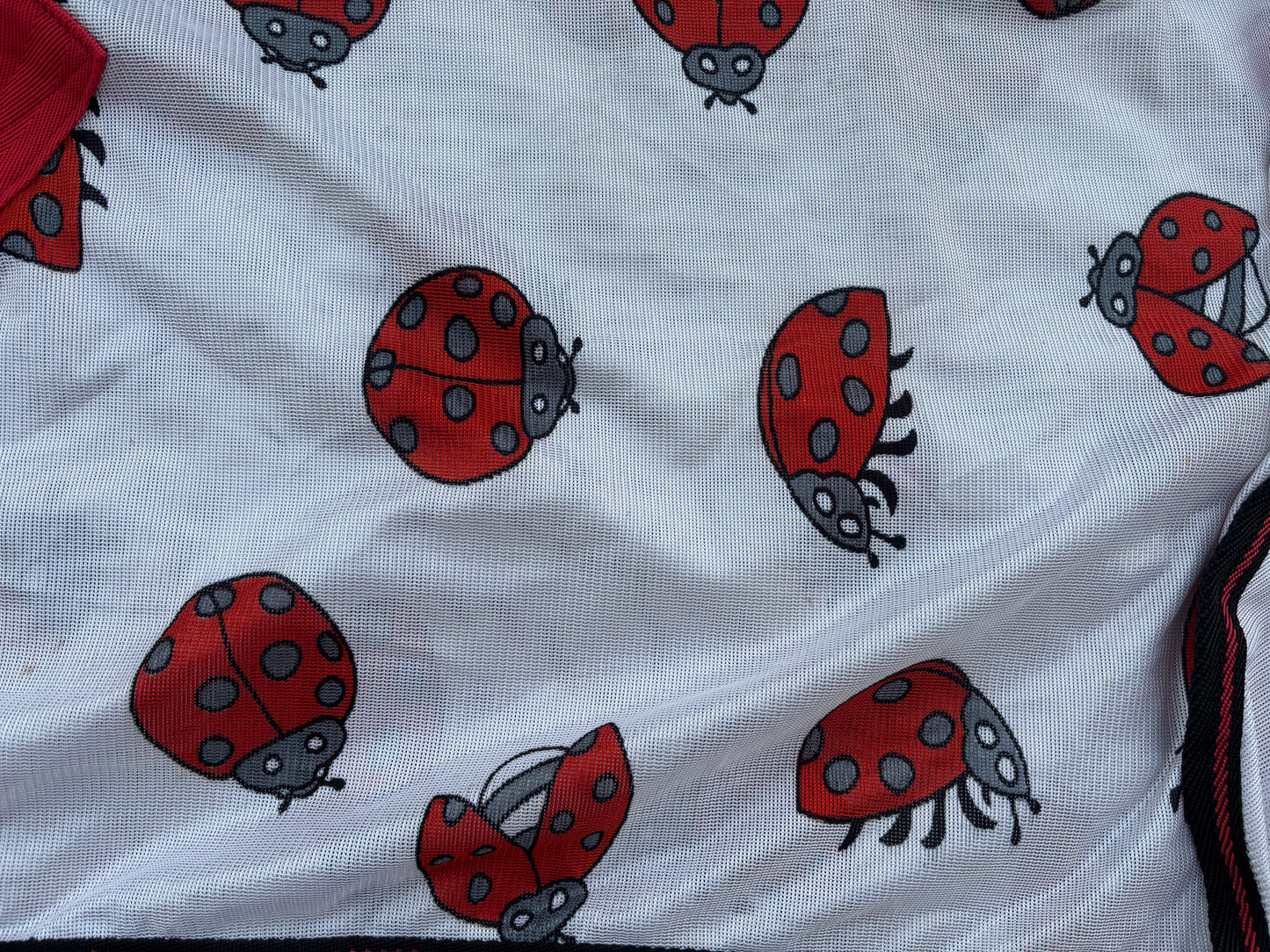 ZPL20 - PRELOVED - HKM Fly Rug Ladybug 6'4"