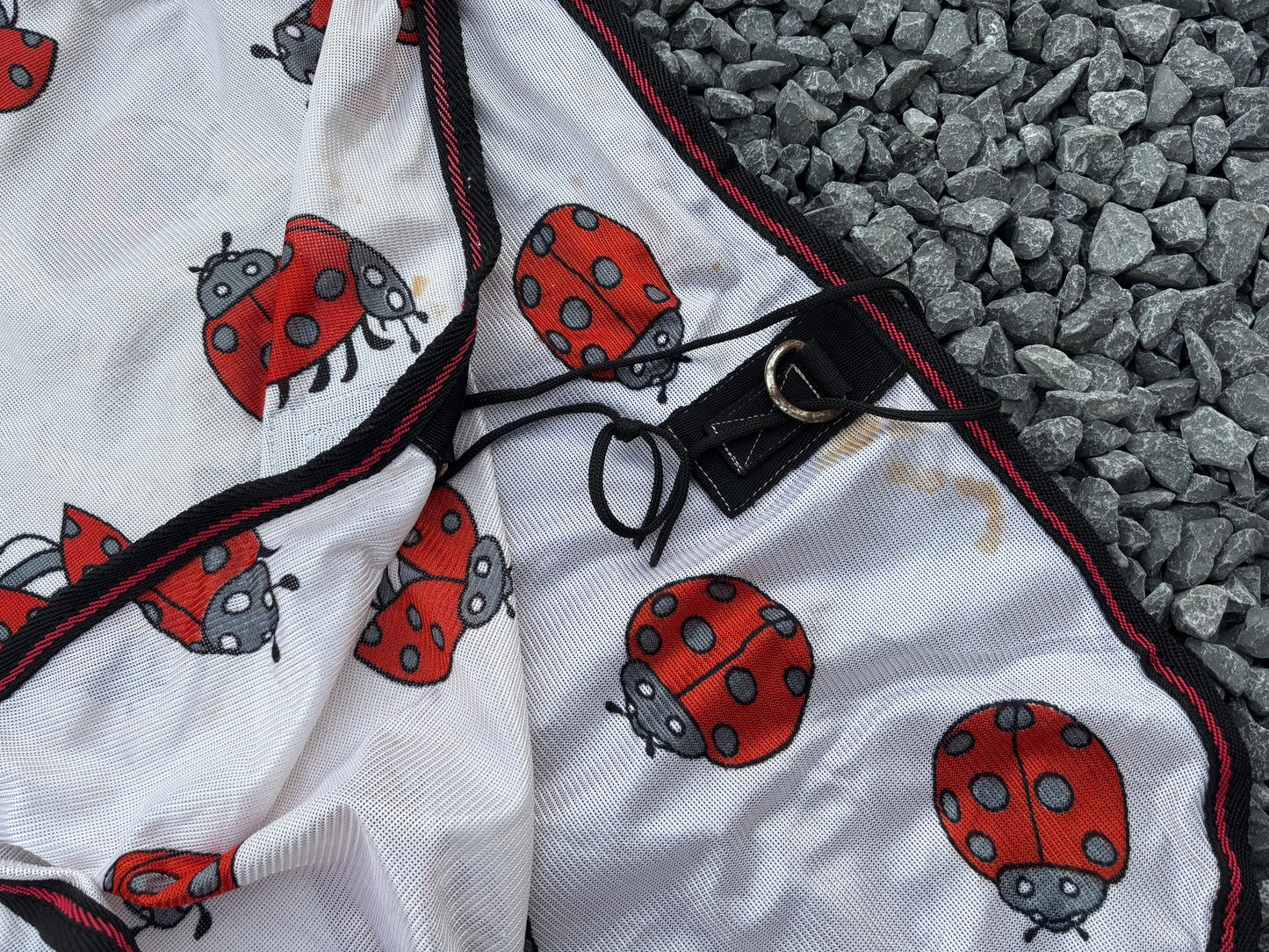 ZPL20 - PRELOVED - HKM Fly Rug Ladybug 6'4"
