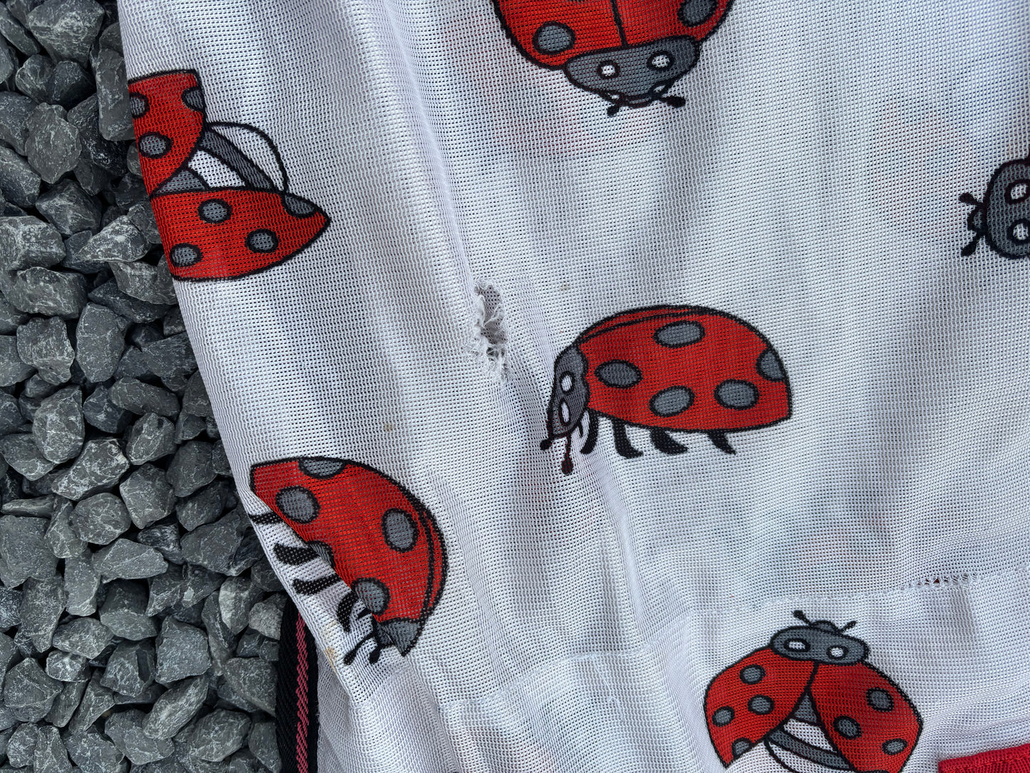 ZPL20 - PRELOVED - HKM Fly Rug Ladybug 6'4"