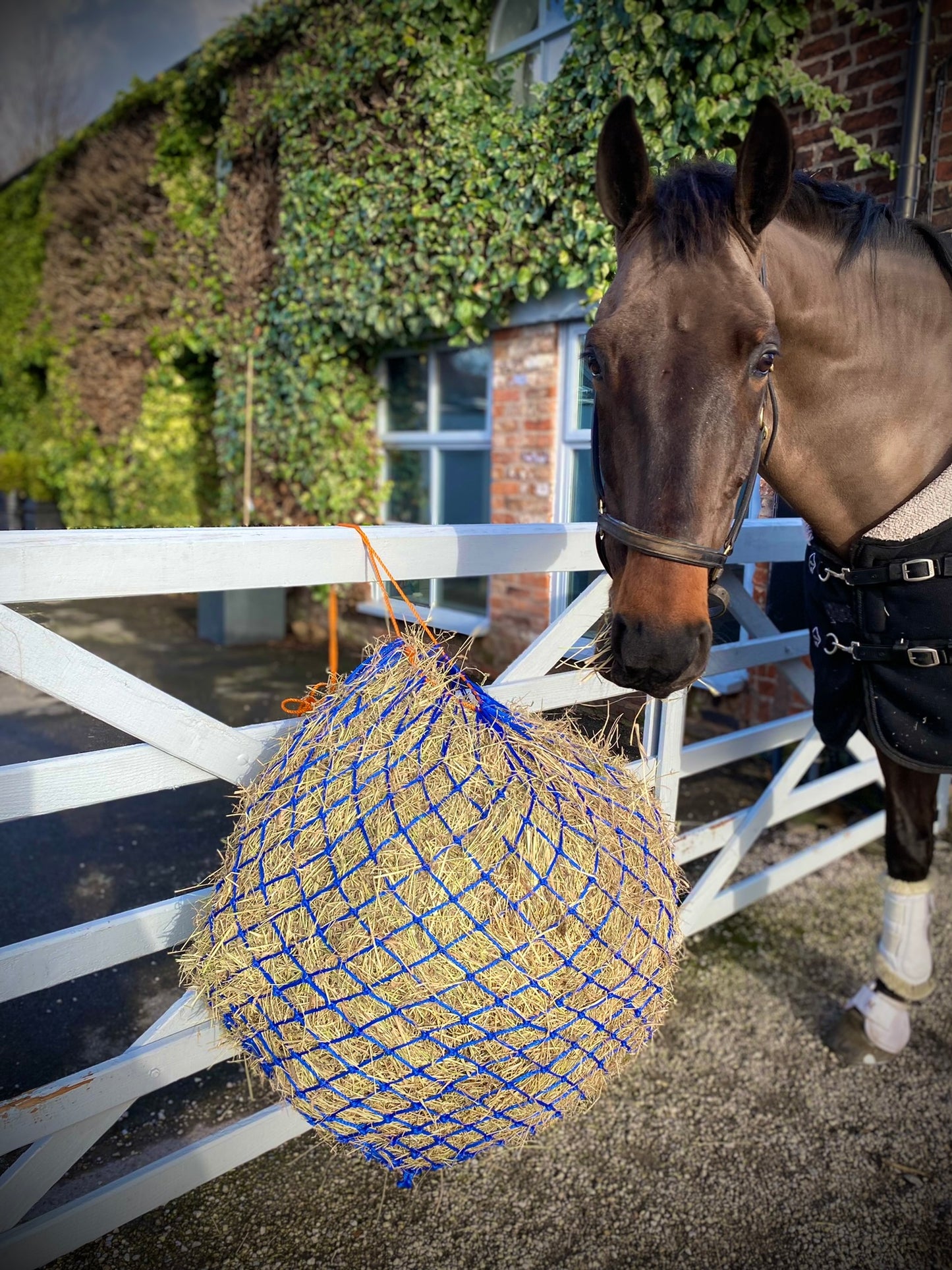 Haynet Large for Greedy Horses - Slow Feeder